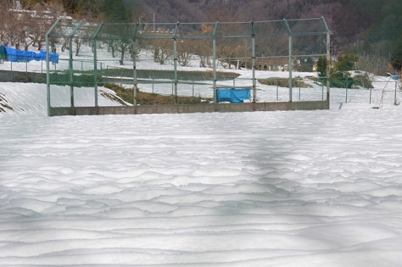 ２週連続の豪雪(T_T)